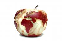 A win win for the body and the planet A win win for the body and the planet