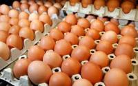 The crack on eggs The crack on eggs
