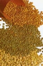 Inflammaging - how to reduce it with a high fibre diet Inflammaging - how to reduce it with a high fibre diet